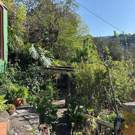 Chalet Matos, Canarian House In Valleseco