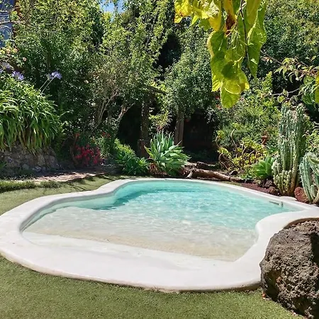 Matos, Canarian House In *